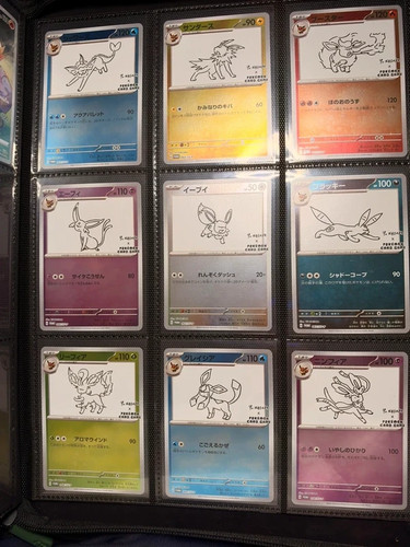 Set complet nagaba pokémon - yu,
