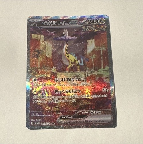 Pokémon raging bolt - raging,