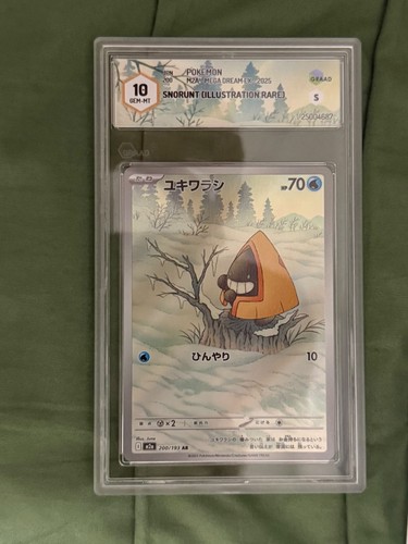 Pokemon snorunt - -,
