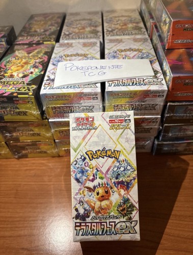 Pokemon terastal festival - terastal,