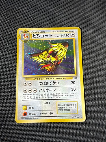 Pidgeot 018 holo jungle - -,