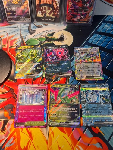 Pokèmon terastal festival - pokèmon,