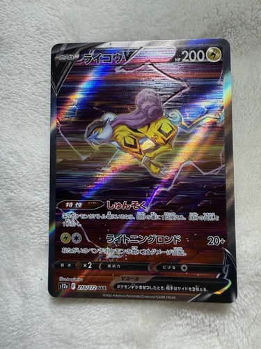 Pokémon raikou 218 172 - raikou, v
